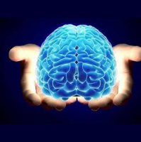 Building A Mind Of Victory