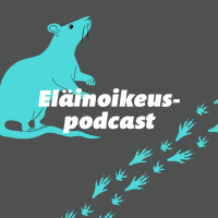 Miten eläinkokeille annetaan luvat?