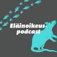 Eläinkokeeton tutkimus