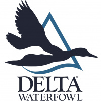 Duck Numbers From Delta Waterfowl - Weve Got The Boys On The X
