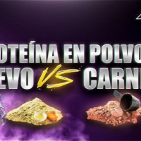 ➡️ Proteína de Huevo en Polvo y Proteína de Carne en Polvo || ¿Són interesantes? + Datos de Interés