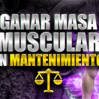 ️ ¿Se puede GANAR MASA MUSCULAR en MANTENIMIENTO calórico o es necesario estar en superávit?