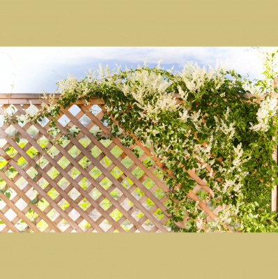 Be Patient, Be Present, Be Joyful