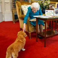 The Queen celebrates, a Queen Consort is announced and William in Dubai