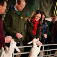 Queen resumes duties, Royals respond to Ukraine crisis and looking ahead to Spring events