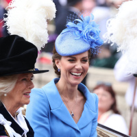 Photographers view of the Jubilee and Camillas big Garter moment