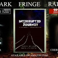 DFR Episode #79 Interview with Author David Miller And Cheryl Lynn Carter Interrupted Journey