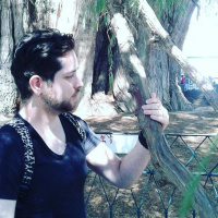 Como los Árboles: La sabiduría de florecer y prosperar.