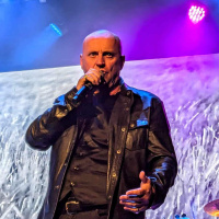 SNS Online Series 10 - Steve Steinman