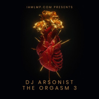LMP Mixes 0224 : The Orgasm 3 RNB