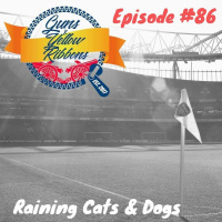 Raining Cats  Dogs