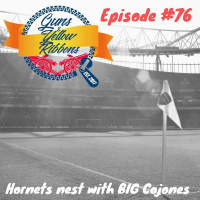 Ep 76 - Hornets Nest With BIG Cojones