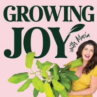 Episode 70: Growing Cannabis Part 2: Flowering to Harvest