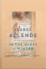 In The Midst Of Winter: A Novel
