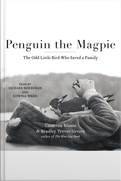 Penguin The Magpie: The Odd Little Bird Who Saved A Family