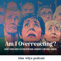 Am I Overreacting? Reddit Stories about Election Depression, Judgement and Emotional Triggers
