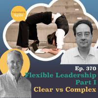 Flexible Leadership Part I - Clear vs Complex