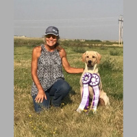 #376 The Rocky Mountain Pointing Lab Club Triple Crown Group Telling the Story of the Long Road