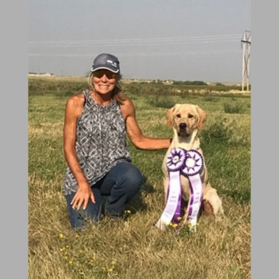 Training The Pointing Labrador
