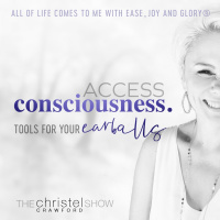 Profiting Relentlessly!! And Other Things We Avoid TO BE NICE by Christel Crawford Sn 3 Ep 16