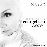 Nederlands - Functioneren Als Een Energetisch Wezen