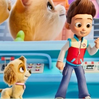 Alerting All Parents: Theres A New Paw Patrol Film