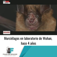 Murciélagos vivos en laboratorio de Wuhan, hace 4 años.