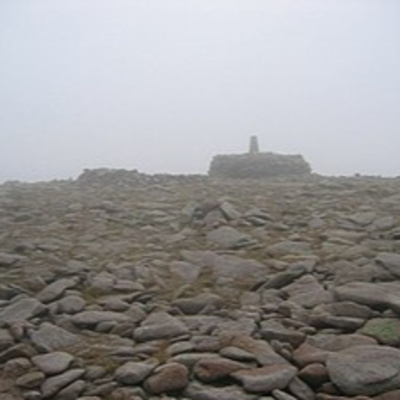 Holsworthy Mark Show