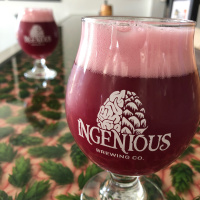 InterBrews 198: Justin @ Ingenious Brewing Company