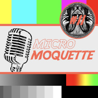 Épisode 11 - Le victionnaire des victorieux viking vicieux