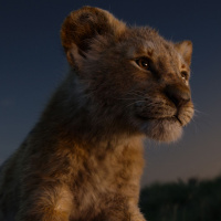 164 - The Lion King 2019