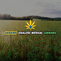 President Zelensky Signs Bill Legalizing Medical Cannabis In Ukraine