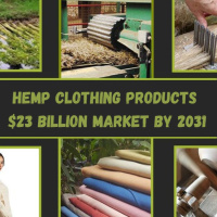 Hemp Clothing: A $23 BILLION market!