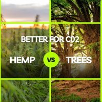 Hemp Vs Trees | Which Is Better For C02 Capture?