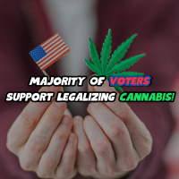 Majority Of Voters Support Legalizing Cannabis!