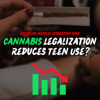 Cannabis Legalization REDUCES Likelihood Of Teen Use! | American Medical Association Report