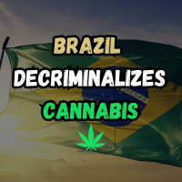 Brazil Becomes The Largest Nation To Decriminalize Cannabis!