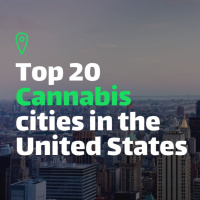 Top 20 Cannabis Cities In The US | 2024