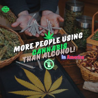 Cannabis Surpasses Alcohol In Daily Use For Americans | HUGE News!
