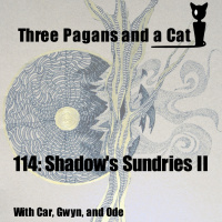 Episode 114: Shadows Sundries II