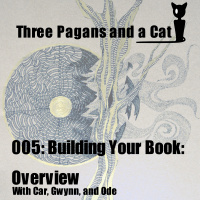 Episode 005: Building Your Book - Overview