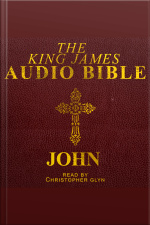 04 The Audio Bible - John: New Testament