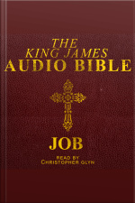 18. The Audio Bible - Job: Old Testament