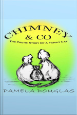 Chimney  Co.