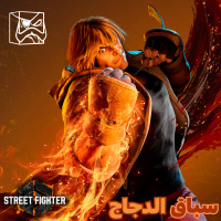 سباق الدجاج