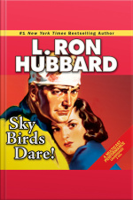 Sky Birds Dare!