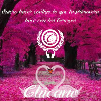 Chicano - Quiero hacer contigo lo que la primavera hace con los Cerezos (Set)
