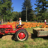 142: The Feed: Fun Ways To Spend Your First Weekend of October