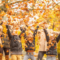 141: THE FEED: Fun With Leaves