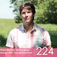 Harry Massey: Exchanging Energy With Your Environment